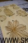 IMG_20201230_200605