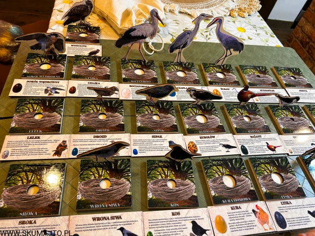 IMG_3649.JPG