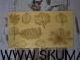 IMG_20201230_200555