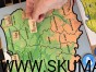 IMG_9937.JPG