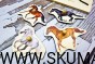 IMG_20201230_165555