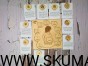 IMG_20201230_194550