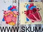 IMG_20210216_170257