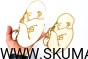 210035342_1284432165307507_6793545561564908323_n