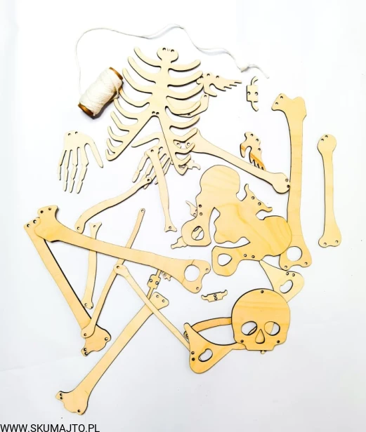 234892327_351096066613724_5266893490711697017_n