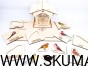 IMG_20210928_113619.jpg