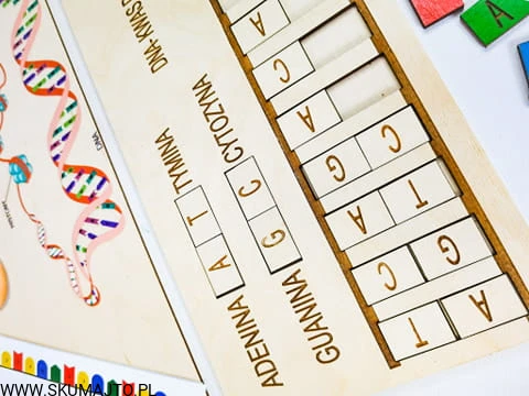 288610899_713222306455489_1605018898199993494_n.jpg