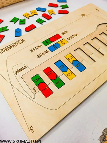 291901493_737631597448554_3275694237036094585_n.jpg