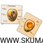 Projekt bez tytułu (78).png