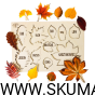 Projekt bez tytułu - 2022-09-12T133656.676.png