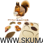 Projekt bez tytułu - 2022-09-12T130429.224.png