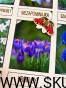 IMG_3052.jpg