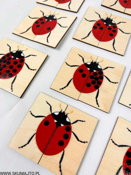 IMG_3737.jpg
