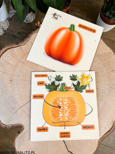 IMG_4658.jpg