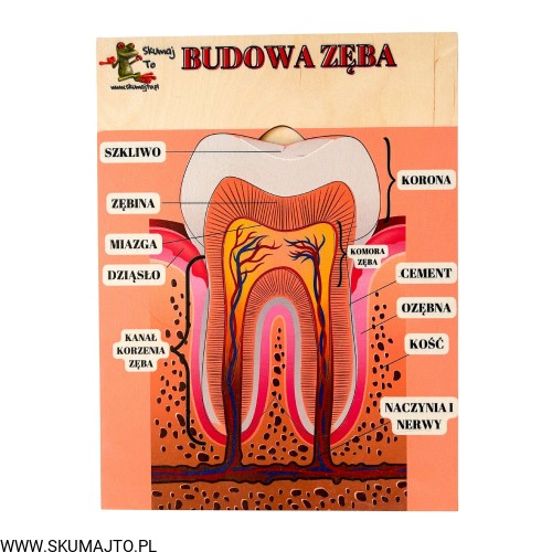 Projekt bez nazwy - 2023-11-17T181132.132.jpg