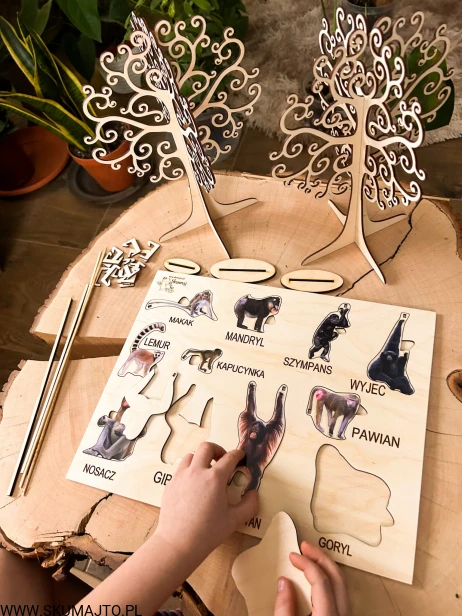 IMG_6897.jpg