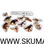 Projekt bez nazwy (28).png