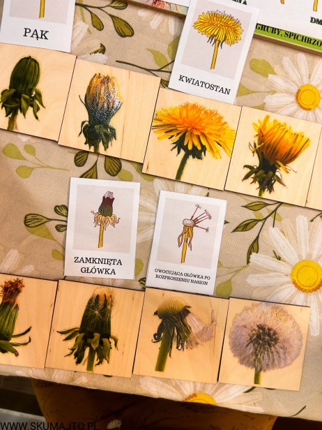 IMG_0986.jpg