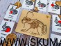 IMG_20201231_173312
