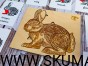 IMG_20201231_173247