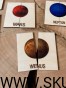 IMG_8188.jpeg
