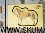 IMG_20201230_170409